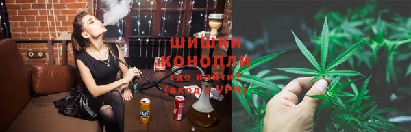 mdpv Новодвинск