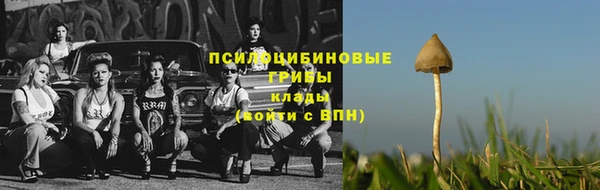 mdpv Новодвинск