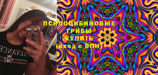 крисы Нефтегорск