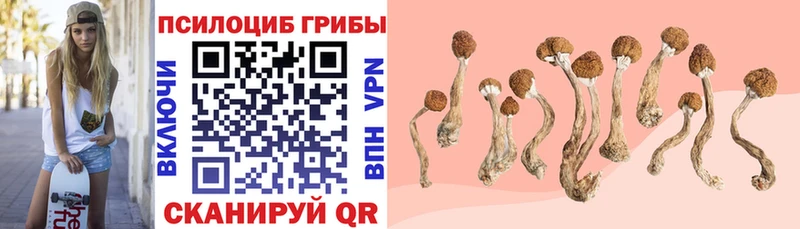 Псилоцибиновые грибы мухоморы  Палласовка 